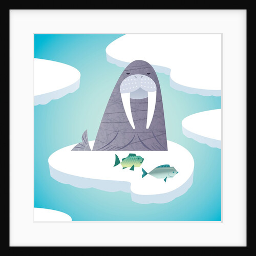 Walrus on pack ice by Anonymous