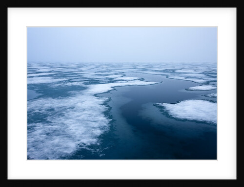 Melting Pack Ice, Svalbard, Norway by Anonymous
