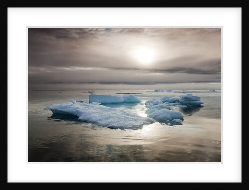 Melting Sea Ice, Svalbard, Norway by Anonymous