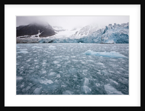 Glacier, Spitsbergen Island, Svalbard, Norway by Anonymous
