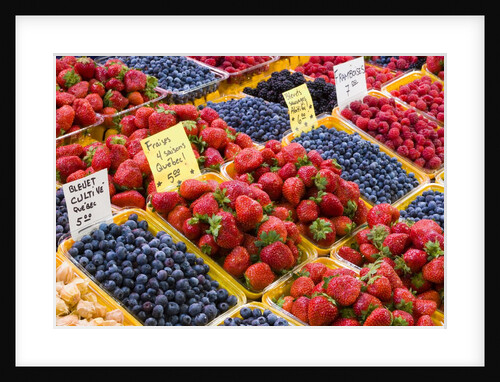 Jean Talon Market with Fresh Berries on Display, Montreal, Quebec, Canada by Anonymous