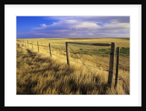 Fence Along Field, South West Saskatchewan, Canada by Anonymous