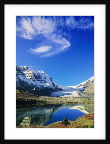 Athabasca Glacier Scenic, Jasper National Park, Alberta, Canada by Anonymous
