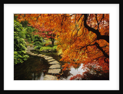 Autumn Colors in Butchart Gardens, Victoria, Vancouver Island, British Columbia, Canada by Anonymous