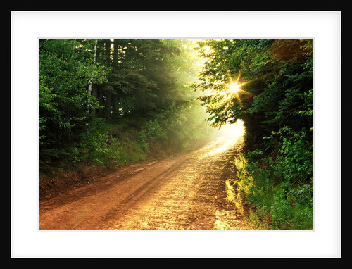 Clay Road, South Melville, Prince Edward Island, Canada by Anonymous