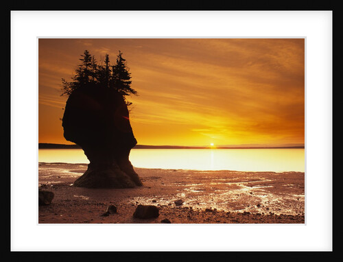 Hopewell Rocks, New Brunswick, Canada by Anonymous