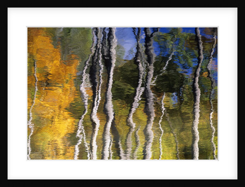 Autumn Reflections in Kilbear Provincial Park, Ontario, Canada by Anonymous