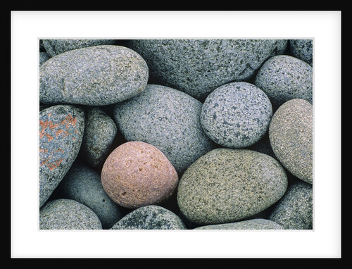 Detail of Pebbles on Long Island, Nova Scotia, Canada by Anonymous
