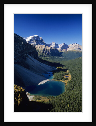 Ball Range, Banff National Park, Alberta, Canada by Anonymous
