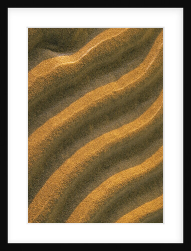 Ripples in the Sand at Singing Sands (also Known As Dorcas Bay) in Bruce Peninsula National Park, Ontario, Canada by Anonymous