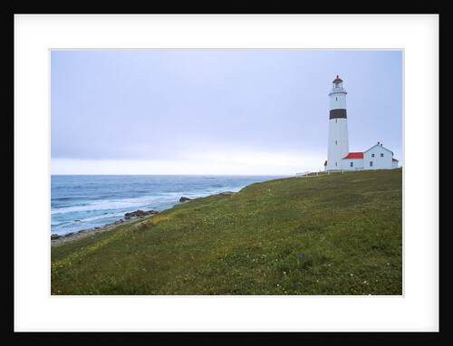 Point Amour Lighthouse, Newfoundland and Labrador, Canada by Anonymous
