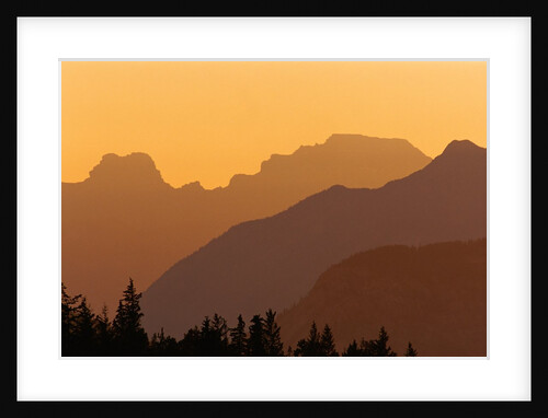 Canadian Rockies at Sunset, Banff National Park, Alberta, Canada. by Anonymous