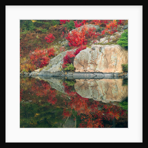 Autumn Colour Reflected in Murdock River, Sudbury, Ontario, Canada. by Anonymous