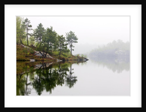 Spring Foliage on Birch Trees and Rock Outcrops Reflected in Laurentian Lake, Lake Laurentian Conservation Area, Sudbury, Ontario, Canada. by Anonymous