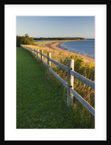 Caribou-Munroes Island Prov Park Nova Scotia, Canada. by Anonymous