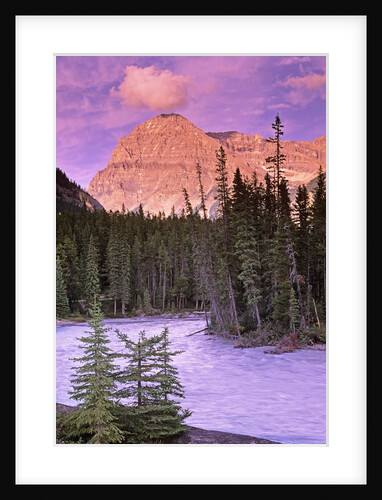 Mt. Stephen and the Kicking Horse River, Yoho National Park, British Columbia, Canada by Anonymous