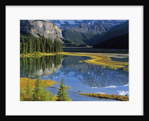 Mount Kitchener Reflected in Pond Near the Beauty Creek Hostel, Jasper National Park, Alberta, Canada by Anonymous