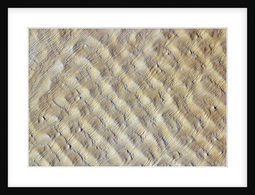 Dunes in the Fachi-Bilma Erg Section of the Sahara Desert in Niger by Anonymous