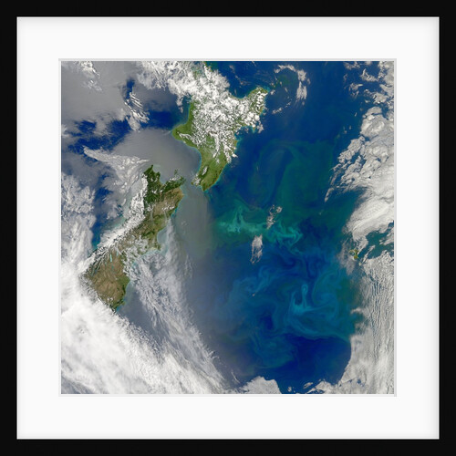 Phytoplankton Bloom in the Pacific Ocean East of New Zealand by Anonymous