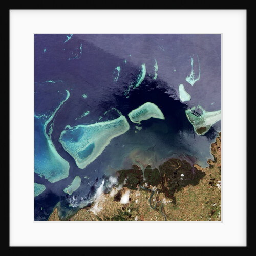 Coral Reefs off of Viti Levu, Fiji by Anonymous