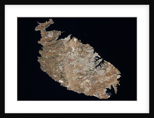 The Island of Malta by Anonymous