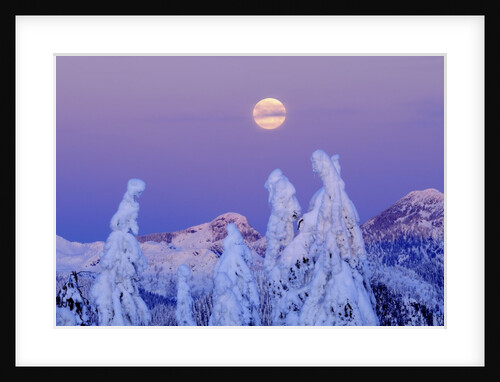 Moonset at Sunrise, Winter, Mount Seymour Provincial Park, North Vancouver, British Columbia by Anonymous