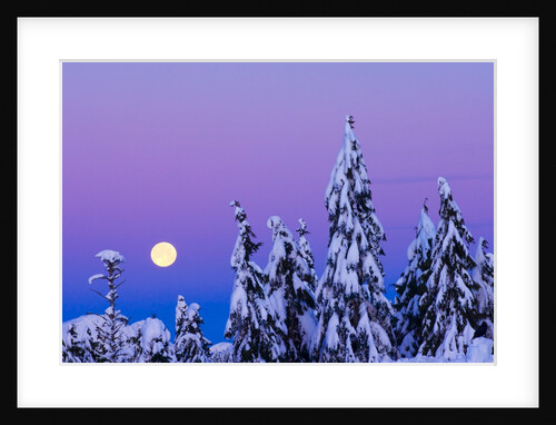 Moonset. From Grouse Mountain, Vancouver, British Columbia, Canada. by Anonymous