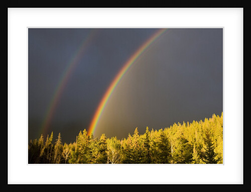 A Double Rainbow During a Storm in Banff National Parknear Banff Alberta, Canada. by Anonymous