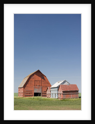 Red Barns in the Middle of a Large Flat Field in the Prairie Land of Southern Saskatchewan, Canada by Anonymous