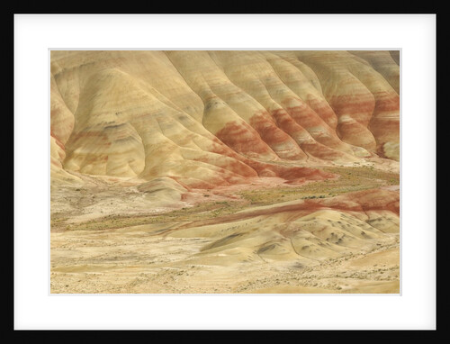 The Painted Hills at the John Day Fossil Beds National Monument, Oregon, USA by Anonymous