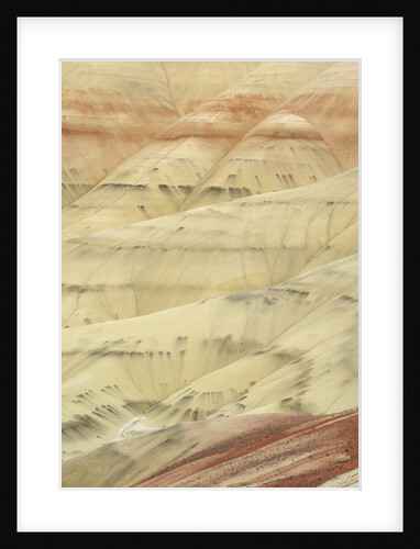 The Painted Hills at the John Day Fossil Beds National Monument, Oregon, USA by Anonymous