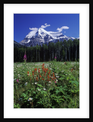 Mount Robson, 3954 M, Highest Peak in Canadian Rockies, British Columbia, Canada. by Anonymous