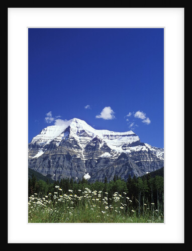Mount Robson, 3954 M, Highest Peak in Canadian Rockies, British Columbia, Canada. by Anonymous