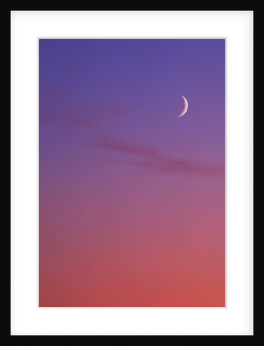Evening Sky in Magenta with Crescent Moon - Background, Canada. by Anonymous