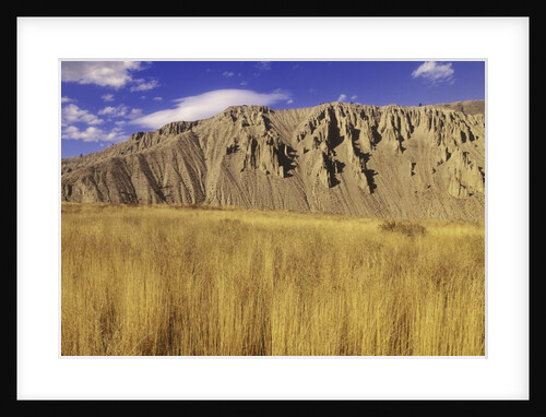 Grasslands at Farwell Canyon, British Columbia, Canada. by Anonymous