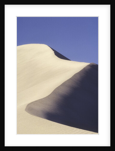 Farwell Canyon Sand Dune, British Columbia, Canada. by Anonymous