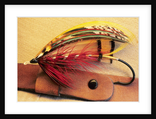 Atlantic Salmon Fly on Hat Brim, British Columbia, Canada. by Anonymous
