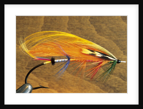 Atlantic Salmon Fly in Flytying Vise, Canada. by Anonymous