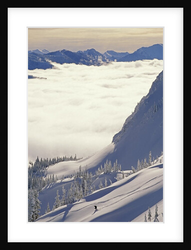 Skier Skiing Fresh Deep Powder in Backcountry Near Fernie, East Kootenays, British Columbia, Canada. by Anonymous