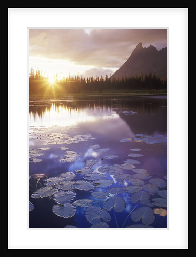 Kitsequecla Lake in Northwestern British Columbia, Canada. by Anonymous