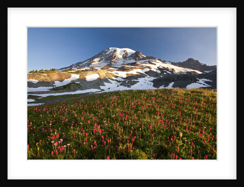 Morning light, Paradise, Mount Rainier National Park, Washington State by Anonymous