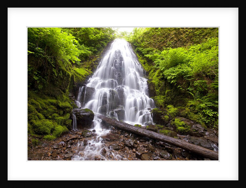 Fairy Falls, Columbia River Gorge National Scenic Area, Oregon by Anonymous