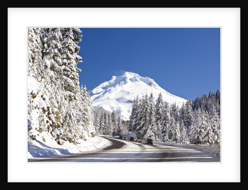 Snow covered road, Mount Hood, Oregon Cascades by Anonymous