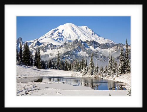 First winter snow at Mount Rainier and Tipsoo Lake, Mount Rainier National Park, Washington State by Anonymous
