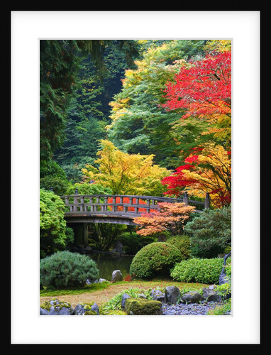 Bridge in Japanese Garden by Anonymous