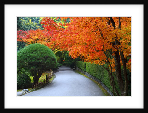 Fall colors at Portland Japanese Gardens, Portland Oregon by Anonymous