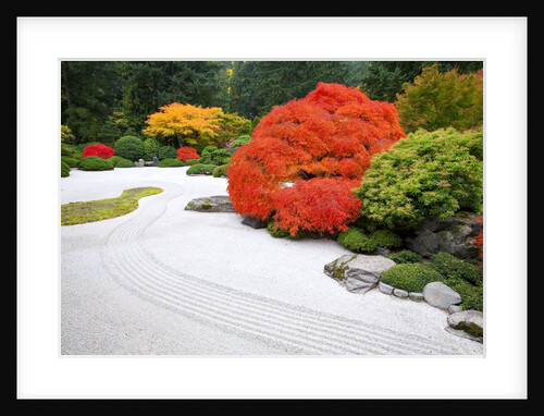 Fall colors at Portland Japanese Gardens, Portland Oregon by Anonymous