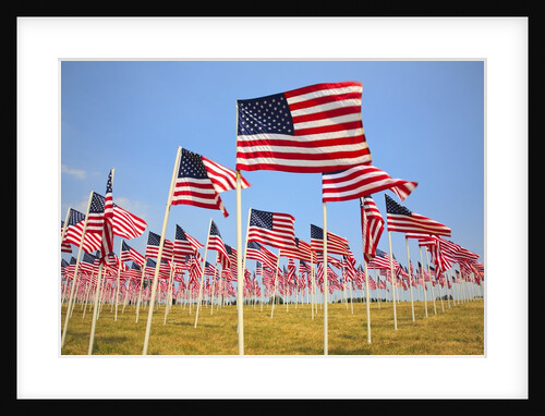 American Flags, Oregon by Anonymous