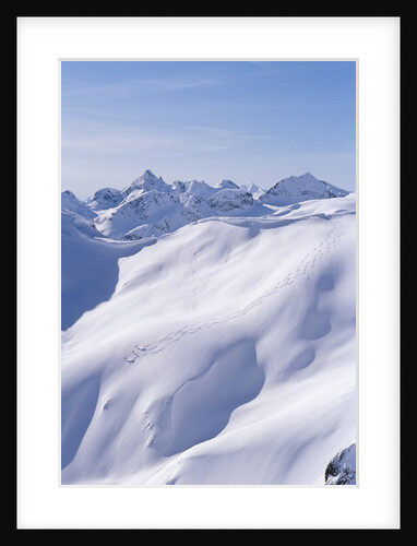 Skiers in Whistler Back Country, Coast Mountains, British Columbia, Canada. by Anonymous