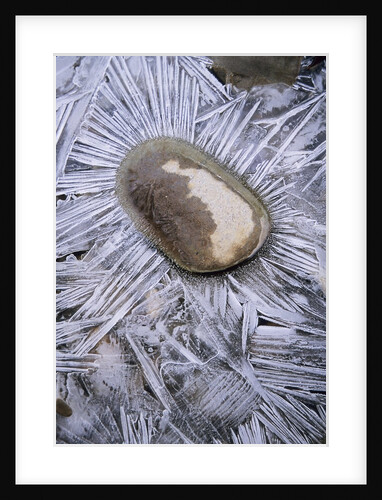Ice Formations, Canyon Creek, Smithers, British Columbia, Canada. by Anonymous